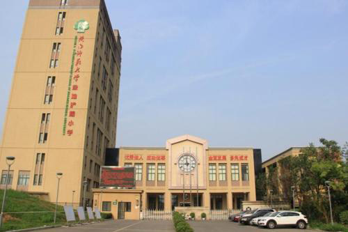 ���ı���������У�����з�У